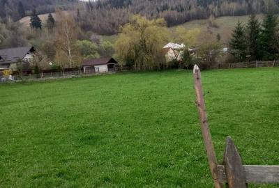 Teren de 2990 mp, în Molid