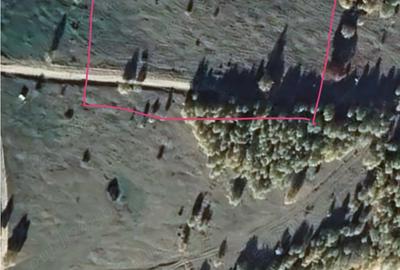 Teren de 5000 mp, în Clopotiva - 3