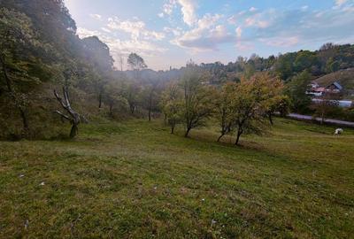 Casă cu 4 camere cu Teren 7000 Mp în Almașu Mare - 7
