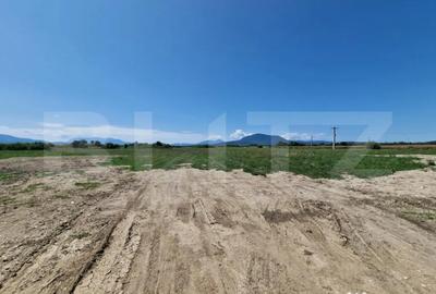 Teren de 6300 mp, în Hălchiu - 1