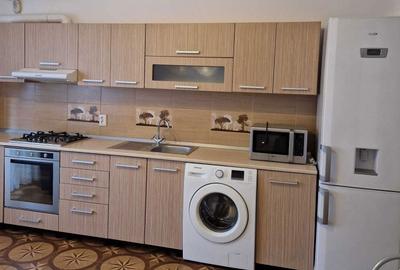 Apartament cu 2 camere semidecomandat în Turnișor - 2