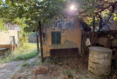 Casă cu 3 camere în Pârâu