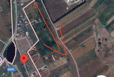 Teren de 3600 mp, în Frumoasa - 1