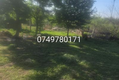 Casă cu 2 camere în Sântimreu - 2