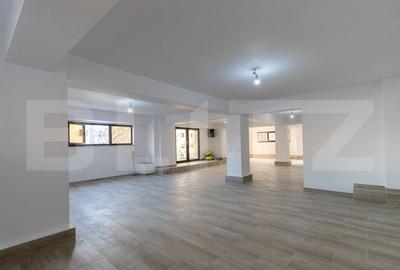 Spațiu comercial, de 130 mp, în Banat
