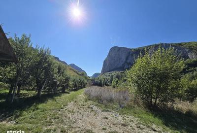 Casă cu 4 camere în Vălișoara