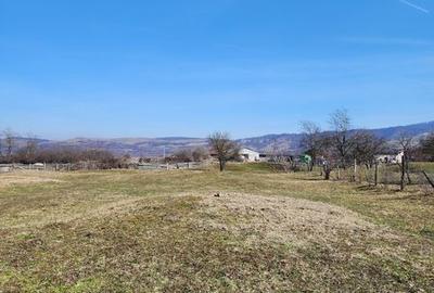 Teren de 4000 mp, în Pianu - 5