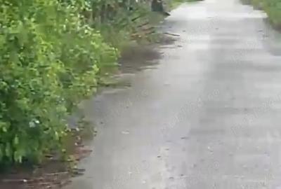 Teren de 1600 mp, în Pângărați