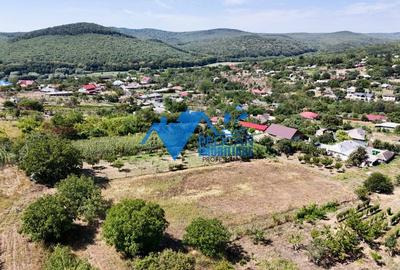Casă individuală cu 4 camere cu Canalizare în Telița - 16