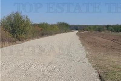 Teren Construcții intravilan de 14394 mp, în Butimanu - 3