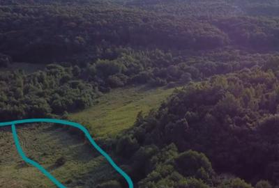 Teren de 5000 mp, în Micești - 6