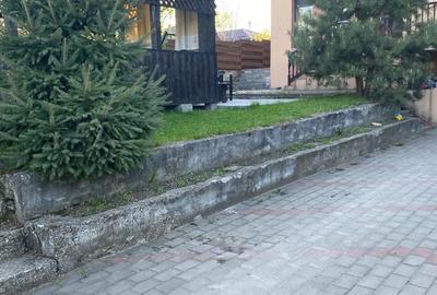 Casă cu 1 camere cu Teren 1050 Mp în Vulturi - 4