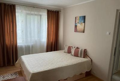 Apartament cu 3 camere semidecomandat, mobilat în Podu Roș - 2