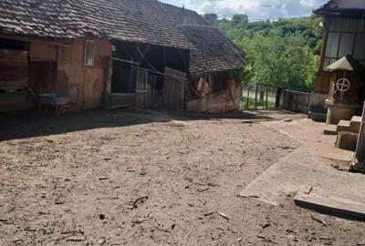 Casă cu 4 camere în Bălcaciu - 4