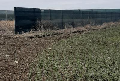 Teren agricol intravilan de 400 mp, în Lazu - 2