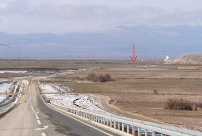 Teren de 14500 mp, în Ivăncești - 3