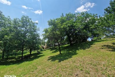 Teren de 3910 mp, în Secăriei - 6
