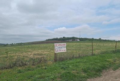 Teren de 60900 mp, în Gârbova - 2