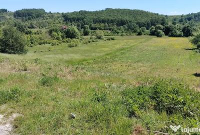Teren de 7000 mp, în Bulzești