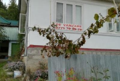 Casă cu 4 camere cu Teren 460 Mp în Soveja - 2
