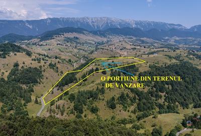 Teren Construcții intravilan de 150000 mp, în Șirnea - 2