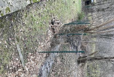 Casă cu Teren 2388 Mp în Fântânele - 2