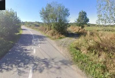 Teren în Dângău Mare - 4