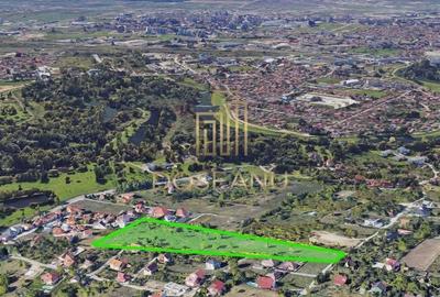 Teren Construcții intravilan de 24460 mp, în Dealuri Oradea - 3