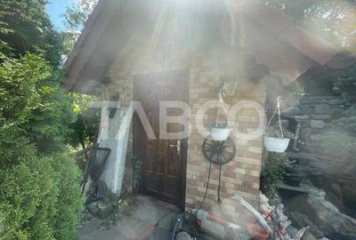 Casă individuală cu 5 camere cu Canalizare în Avrig - 12