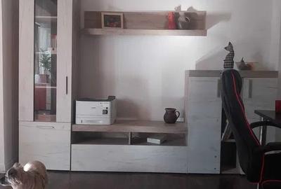 Apartament cu 2 camere semidecomandat, mobilat în Podul de Fier - 3