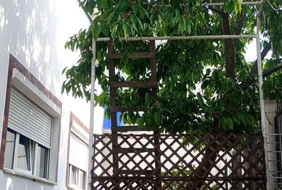 Casă cu 4 camere în Central - 1