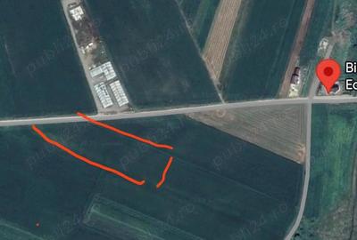 Teren de 61 mp, în Central