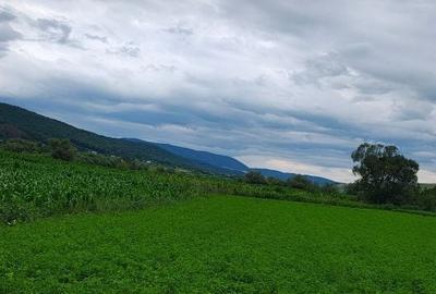 Teren de 1055 mp, în Gilău