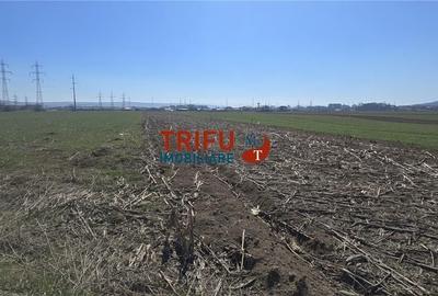 Teren de 2350 mp, în Bărăbanț