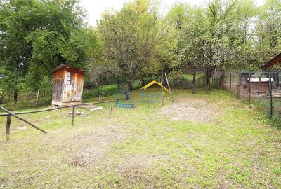 Casă cu 3 camere cu Teren 4930 Mp în Aluniș - 10