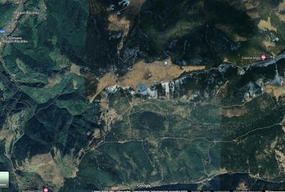 Teren agricol intravilan de 10900 mp, în Măguri-Răcătău - 7