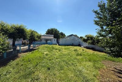 Casă individuală cu 5 camere cu Teren 2439 Mp în Prisăcani - 1
