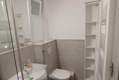 Garsonieră decomandată în Turnișor - 7