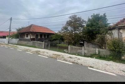 Teren de 6980 mp, în Dobrița - 2