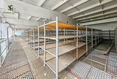 Spațiu industrial, de 550.90002441406 mp, în Făgăraș - 3