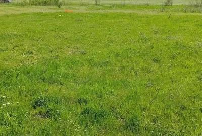 Teren de 425 mp, în Tărtășești - 3