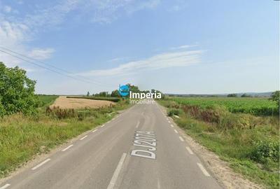 Teren agricol intravilan de 19800 mp, în Est - 1