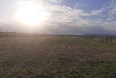 Teren de 10000 mp, în Bucov