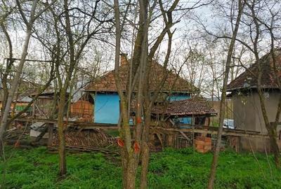 Casă cu 3 camere cu Teren 18000 Mp în Sâmboleni