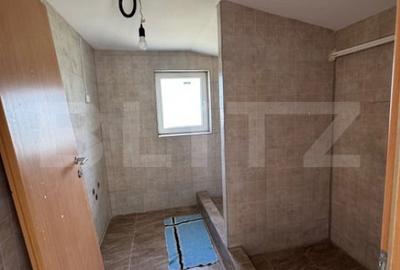 Casă cu 5 camere cu Teren 8700 Mp în Mihai Viteazu - 1