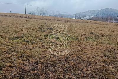 Teren de 8335 mp, în Săcuieu - 10