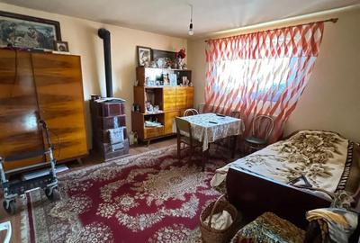Casă cu 2 camere cu Teren 4535 Mp în Ateaș - 5