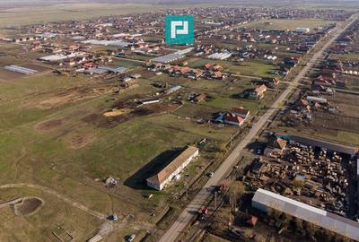 Spațiu industrial, de 455 mp, în Zărand - 26