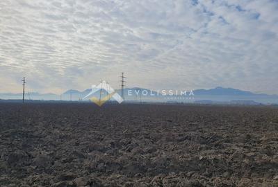 Teren Construcții extravilan de 40100 mp, în Sânpetru - 3