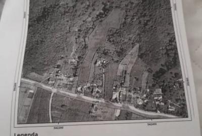 Teren de 7000 mp, în Ștubeie Tisa - 9